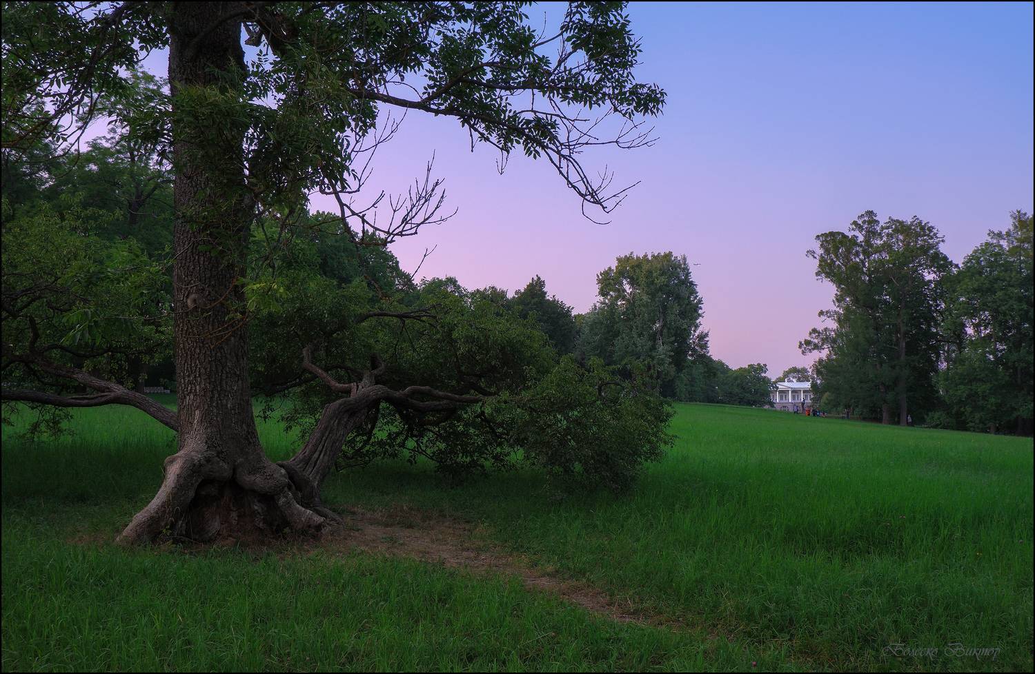 пушкин, екатерининский парк, Болеско Виктор