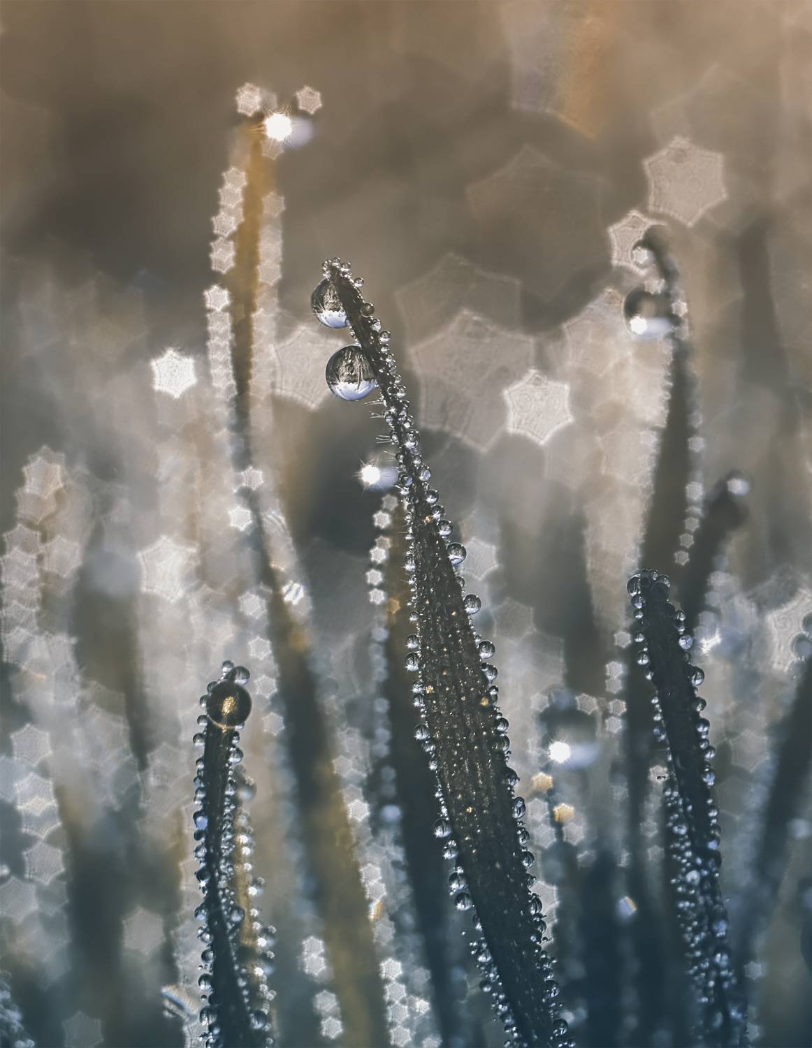 макро,капли,волна9,фуджи,красота,природа, Natalia Bolotenkova