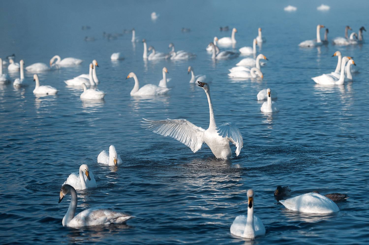 , Рагинская Ольга