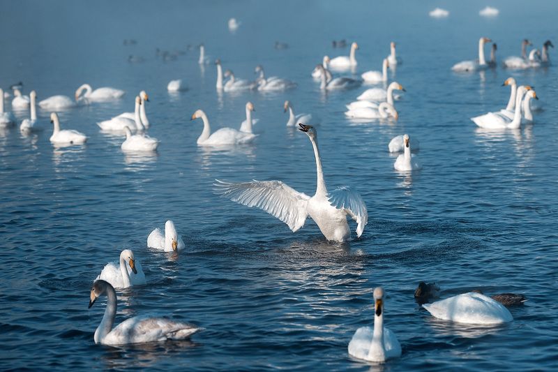 Минуточку внимания... фото превью