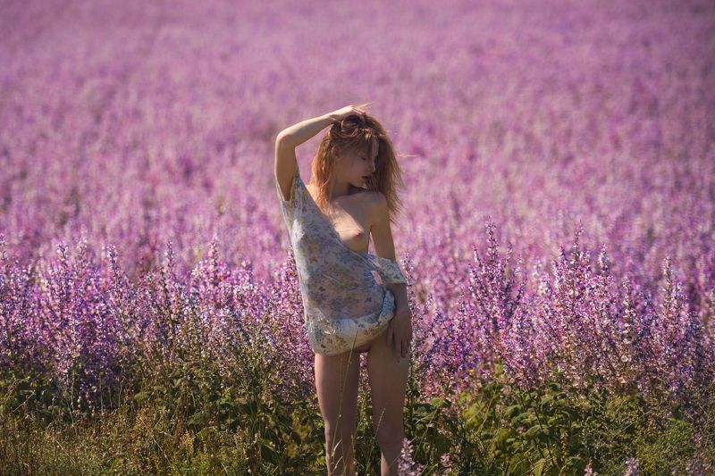 девушка, модель, ню  фото превью