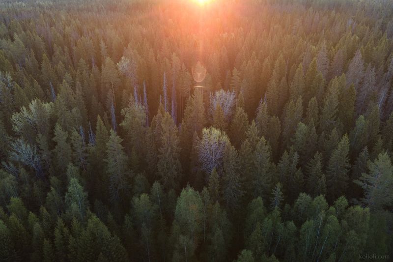 Урочище Междуречье фото превью