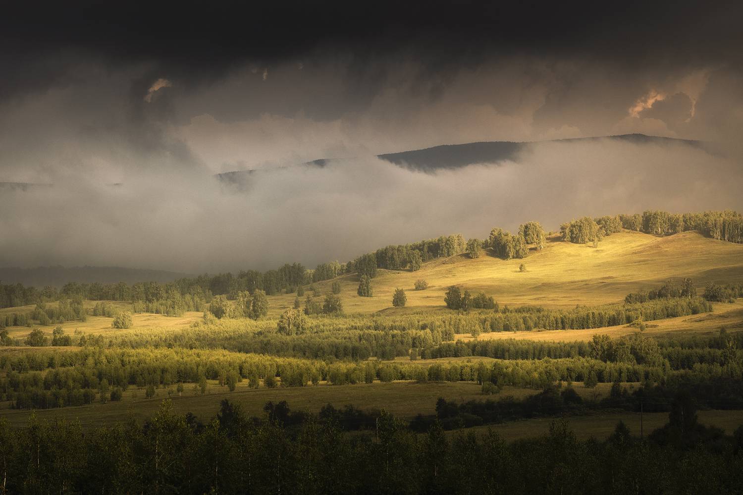 , Татьяна Бирюкова