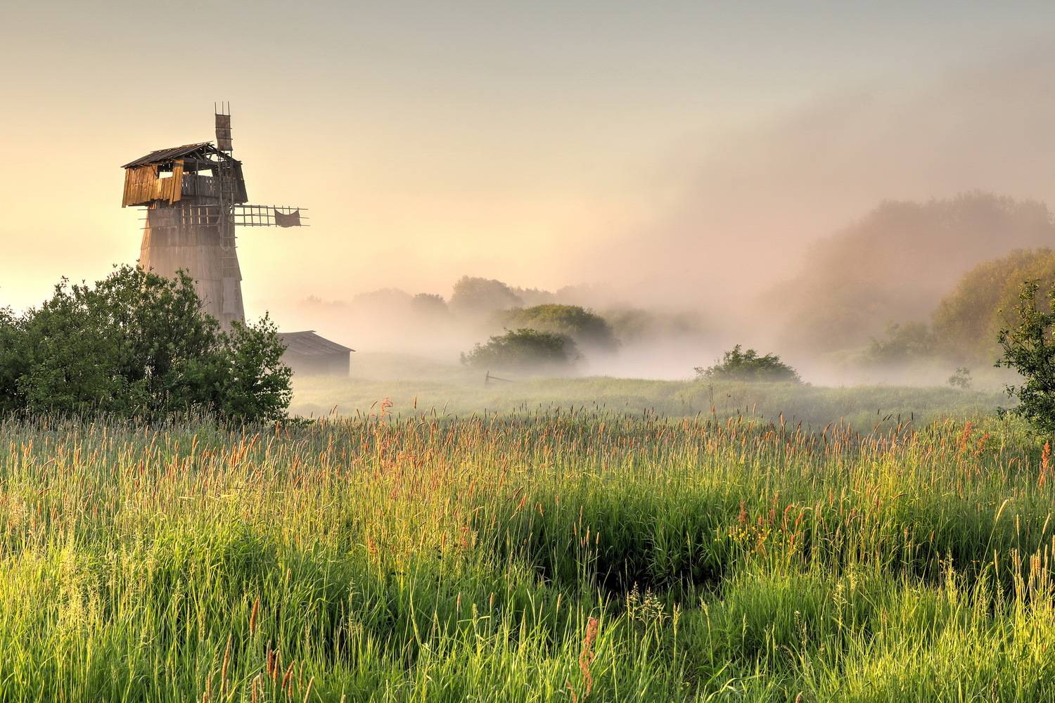 , Добролюбова Тамара