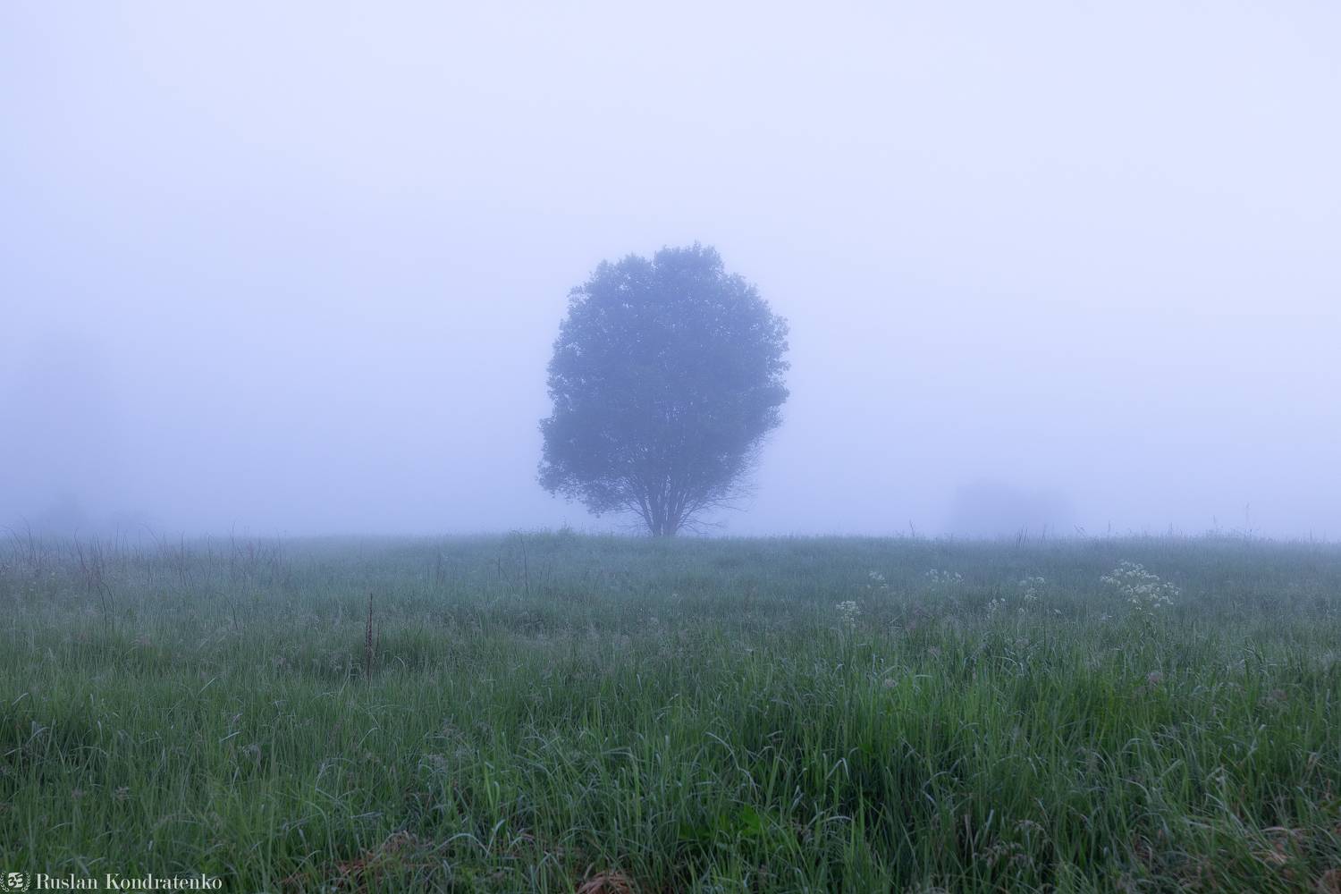 лемовжа, рассвет, туман, Кондратенко Руслан