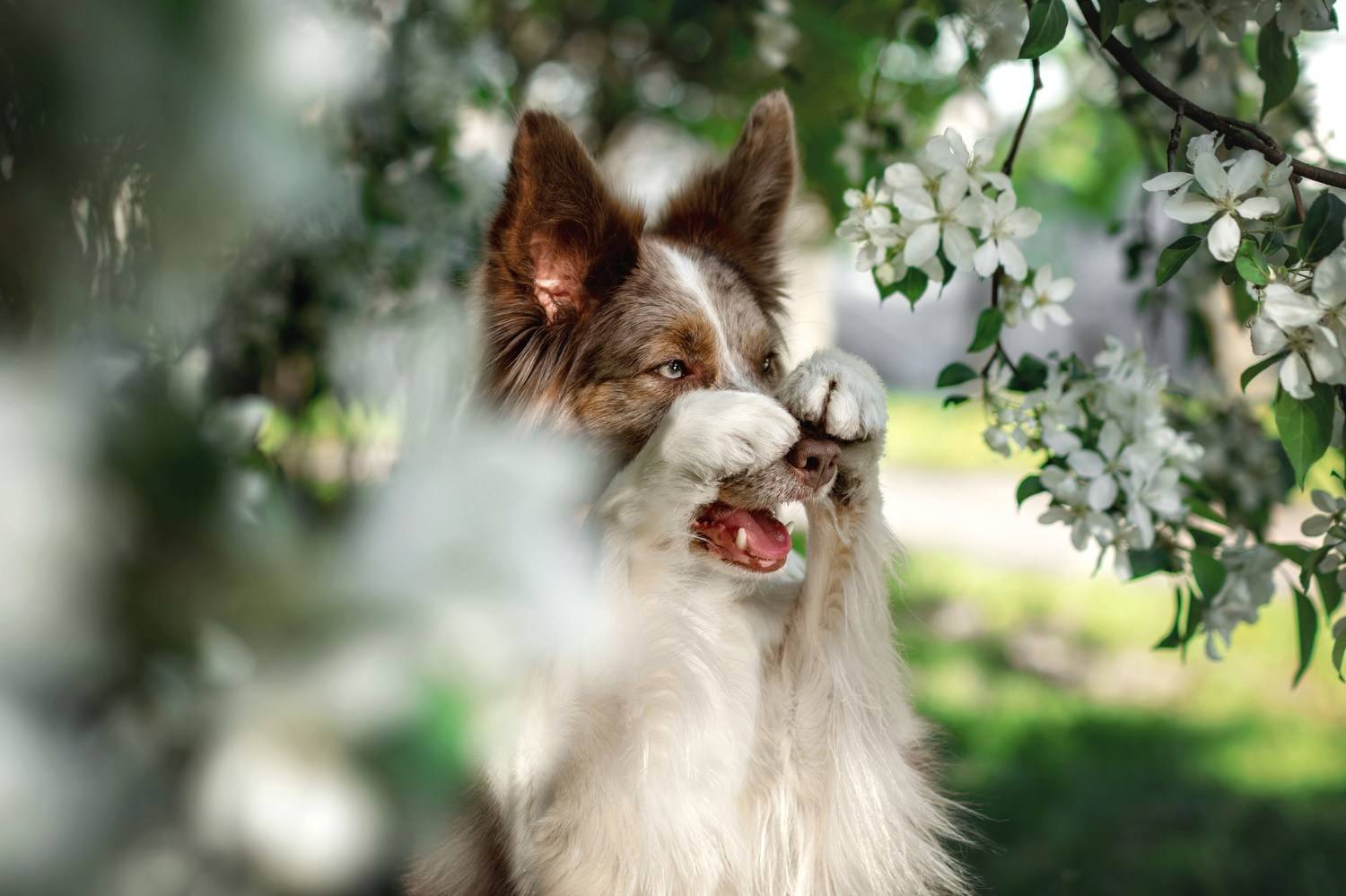 , Зубкова Юлия