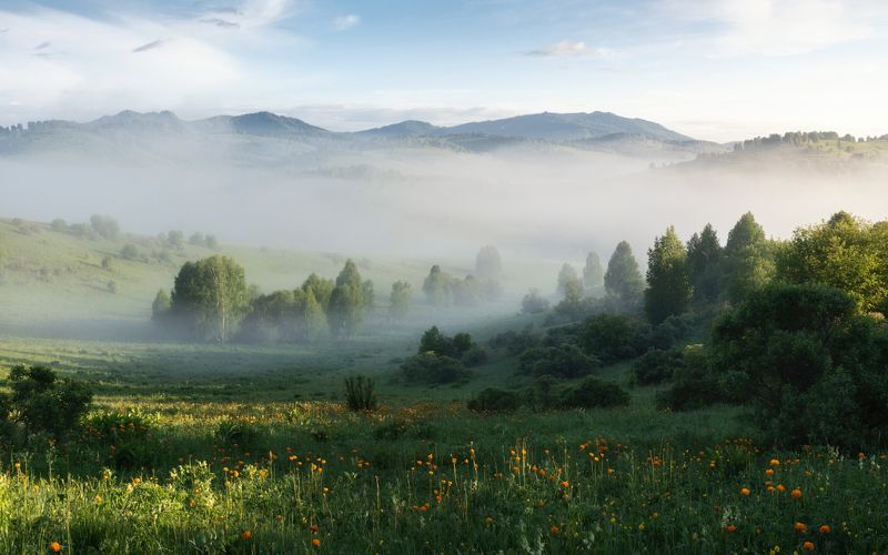 алтай, горный алтай, пейзажи алтая, кош-агачский район, горная река, золотая осень, горы, осенний алтай, горная тайга Оранжевое настроение фото превью