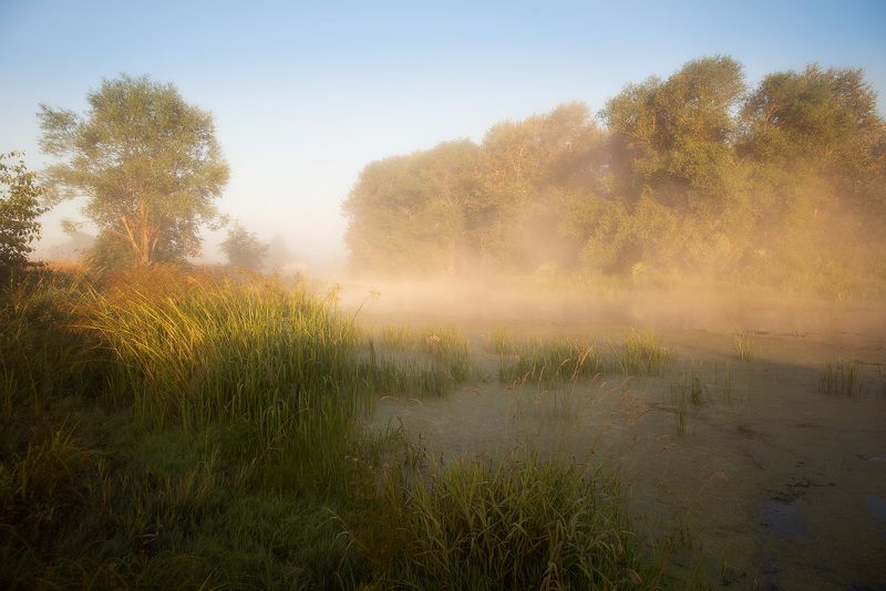 лето, речка, владимирская область, рассвет, шерна *** фото превью