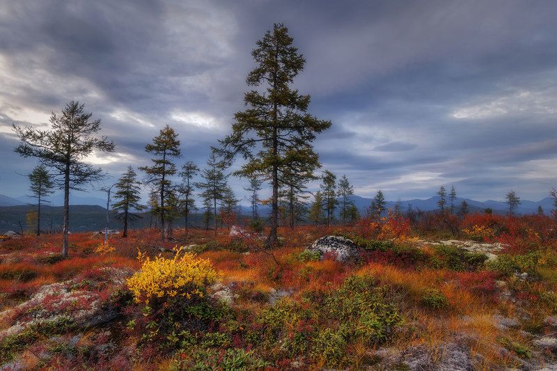 Колыма фото превью