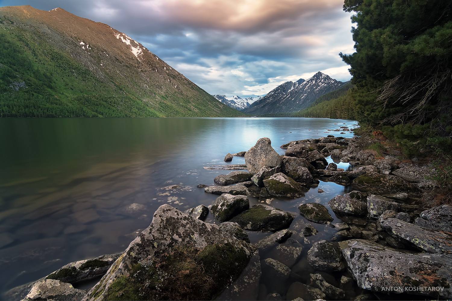 , Антон Кошетаров