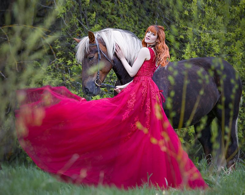 horse, horses, лошадь, конь, конныйфотограф, кэнон, canon, 7020028, лошади, конный фотограф Яна Орлова, фотографияслошадью, фотосессияслошадью, фотосессиислошадьми, коннаяфотография, pferd, horsephotographer, женский портрет, девушка   фото превью