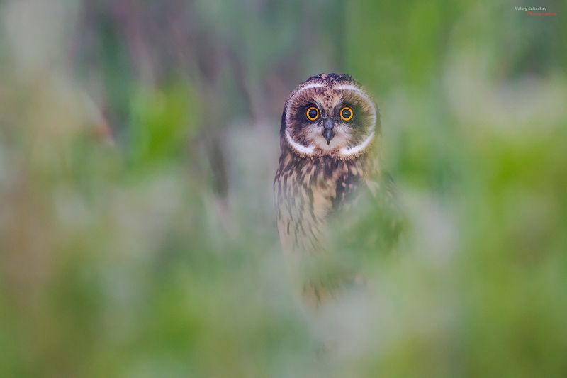 Молодежь фото превью