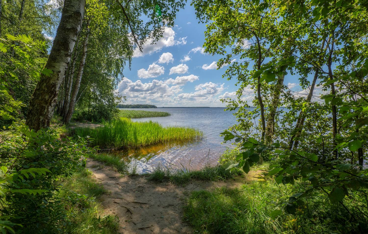 Лето, берег, Учинское водохранилище, Сергей Аникин