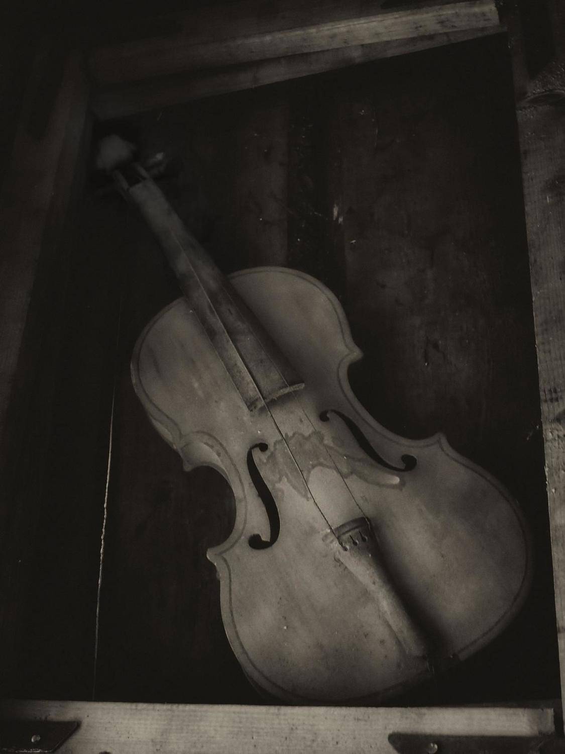 , Савоцкий Роман