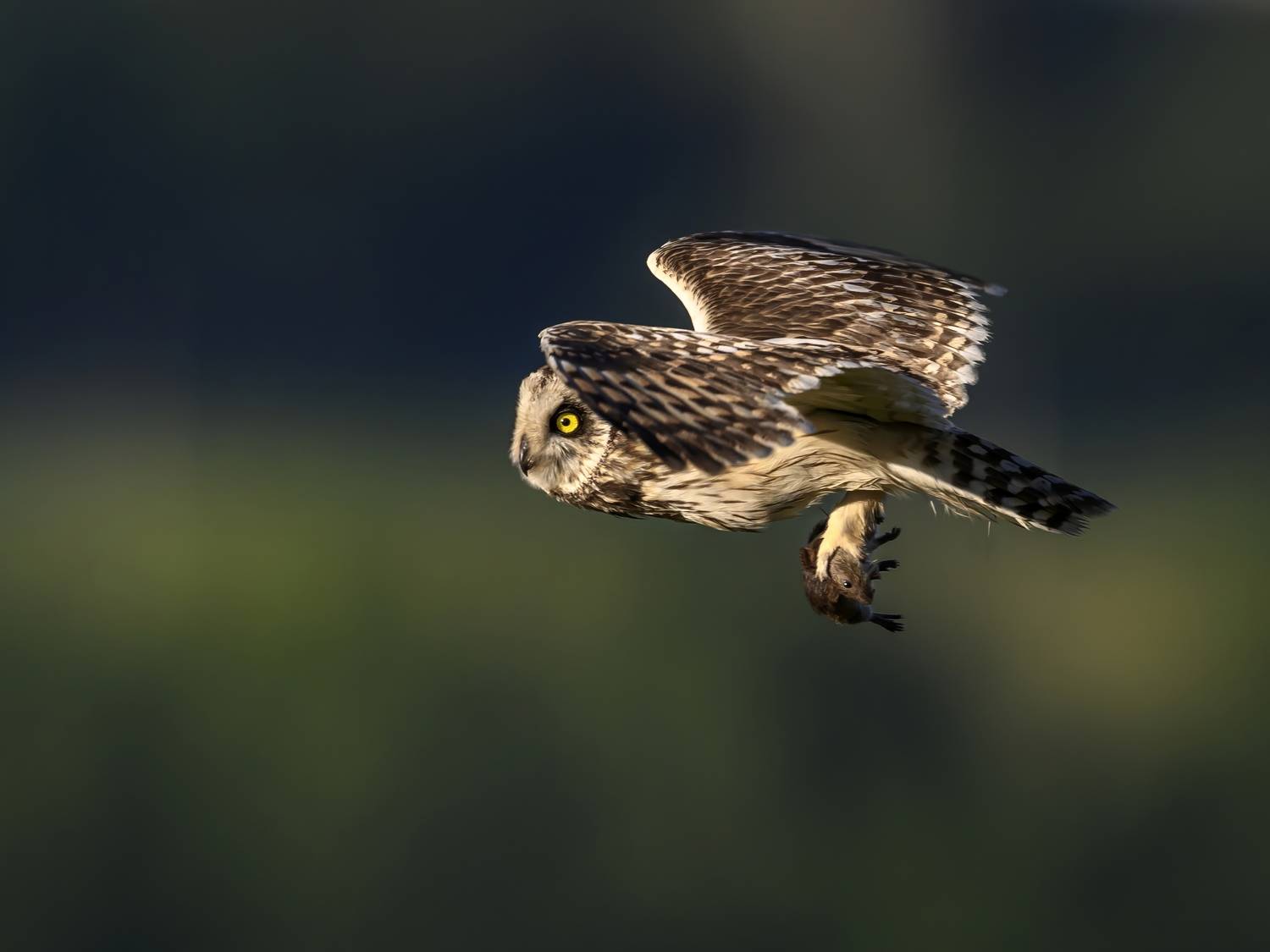 , Пупонин Сергей