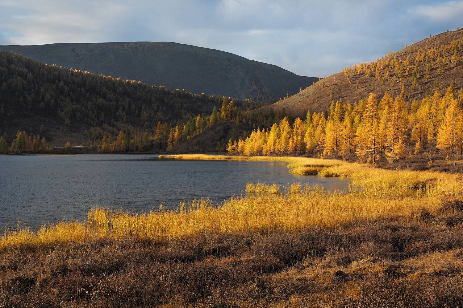 , Александр Попов