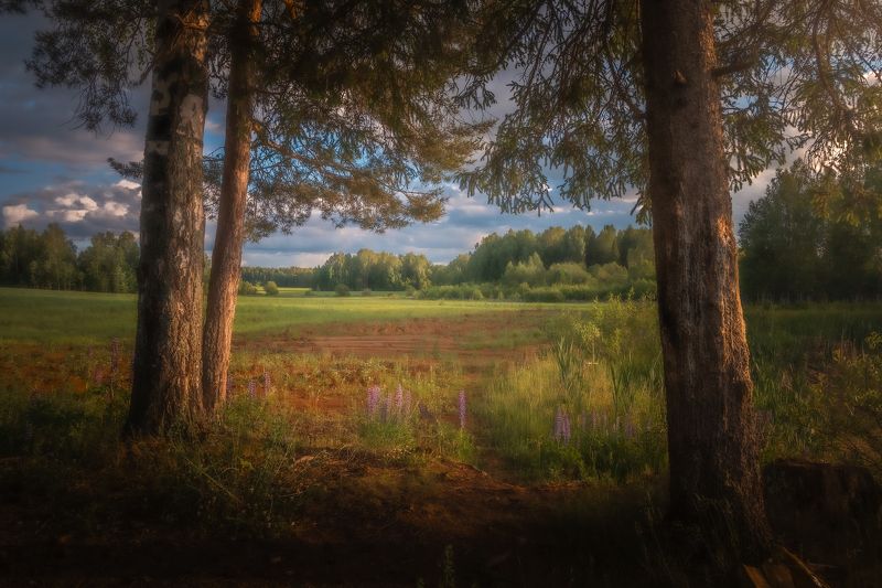 фото превью