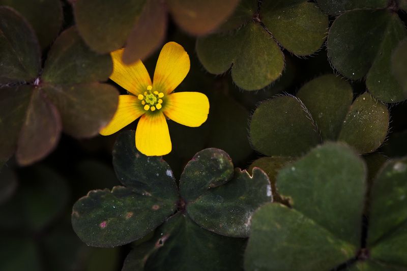 2024 фото превью