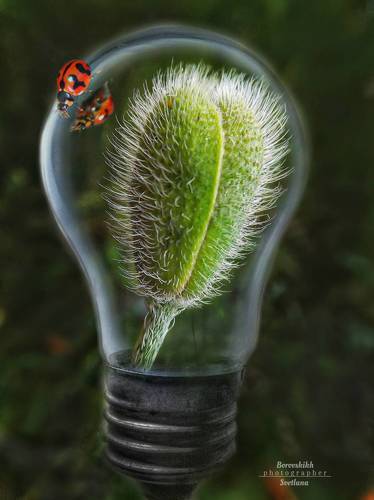 Хрупкий мир