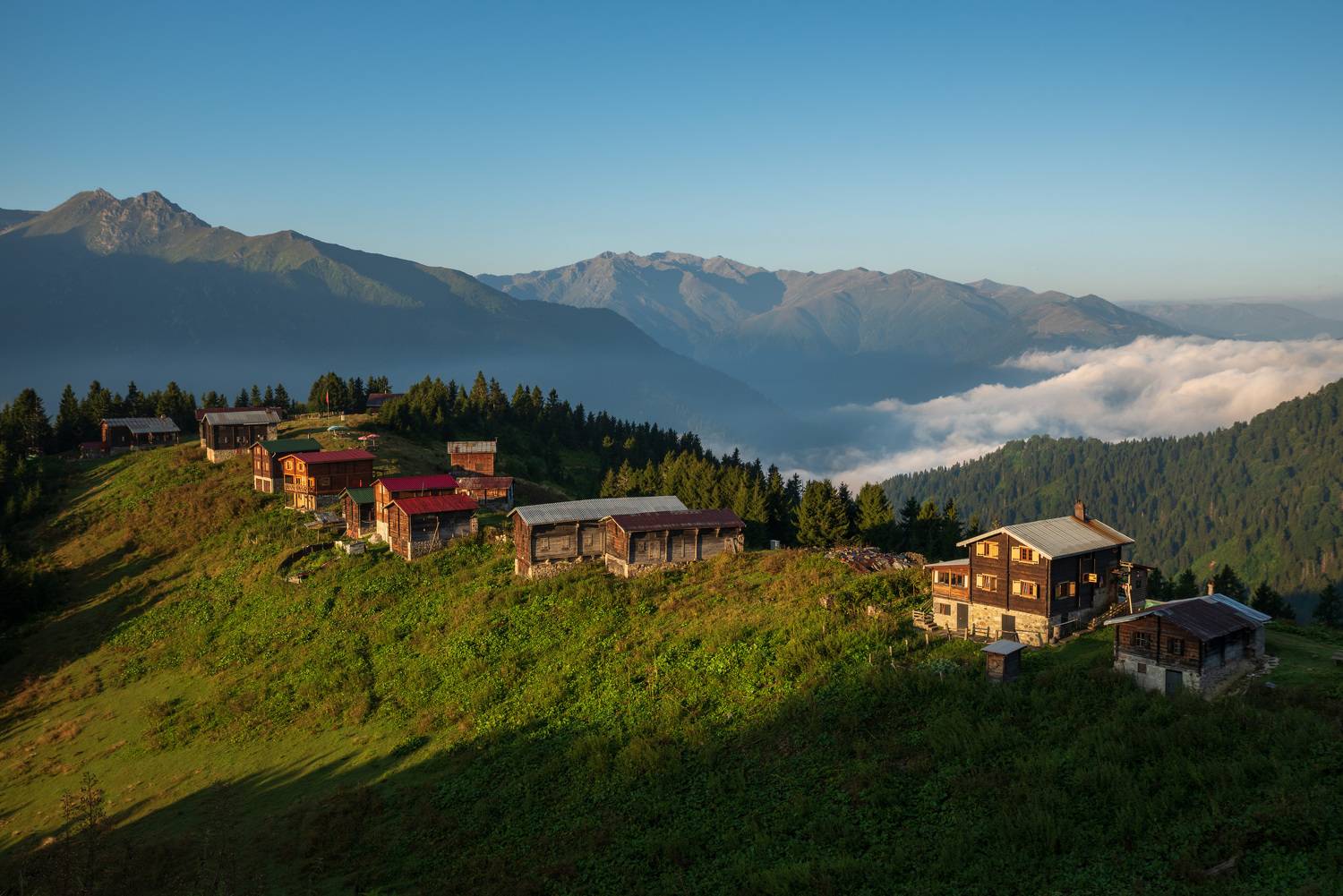 , Рагинская Ольга