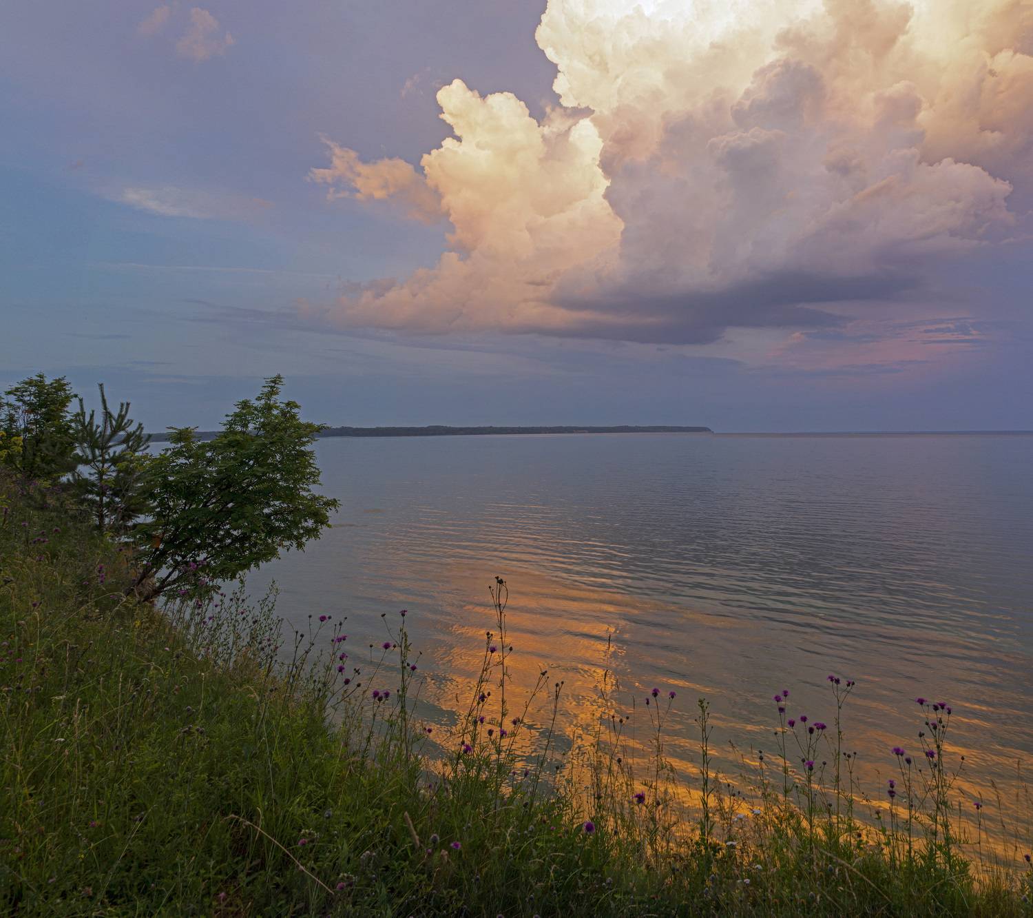 , Шитов Александр