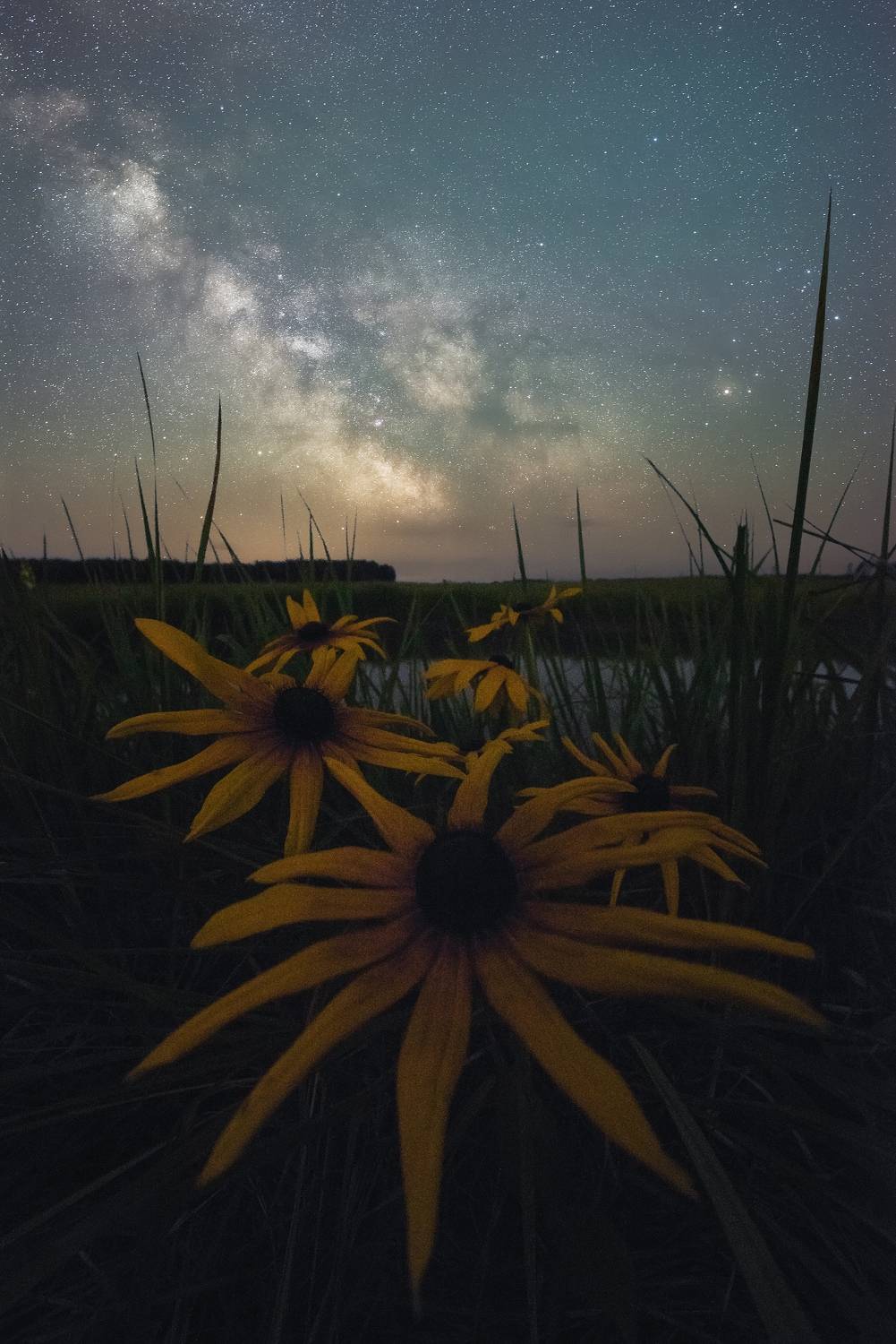 , Захаров Дмитрий