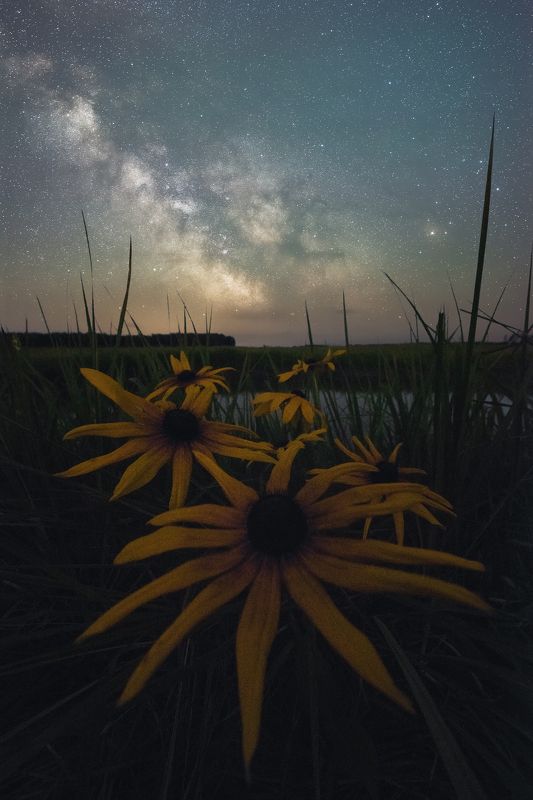 Июньская ночь фото превью