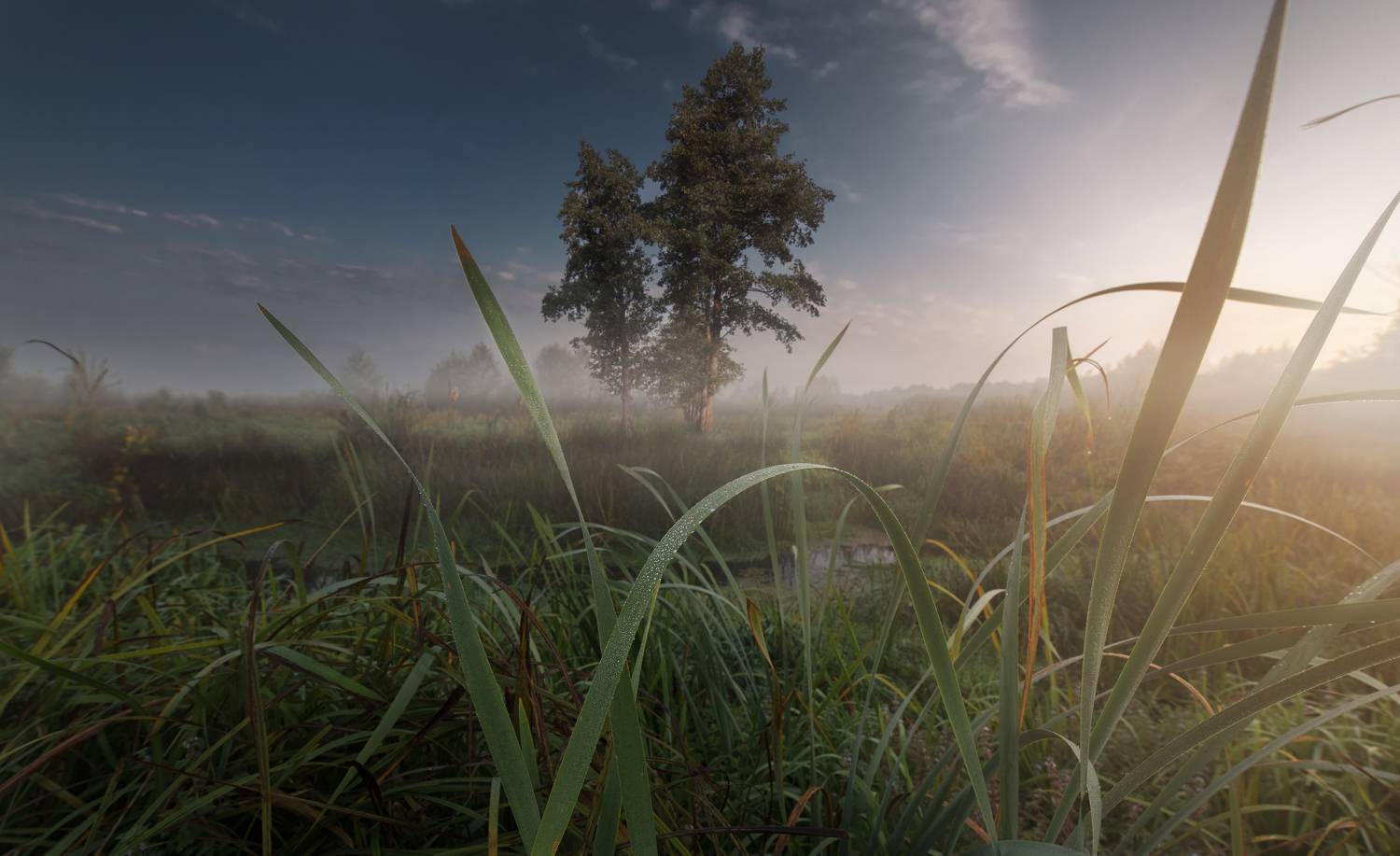 , Сергей Москалянов