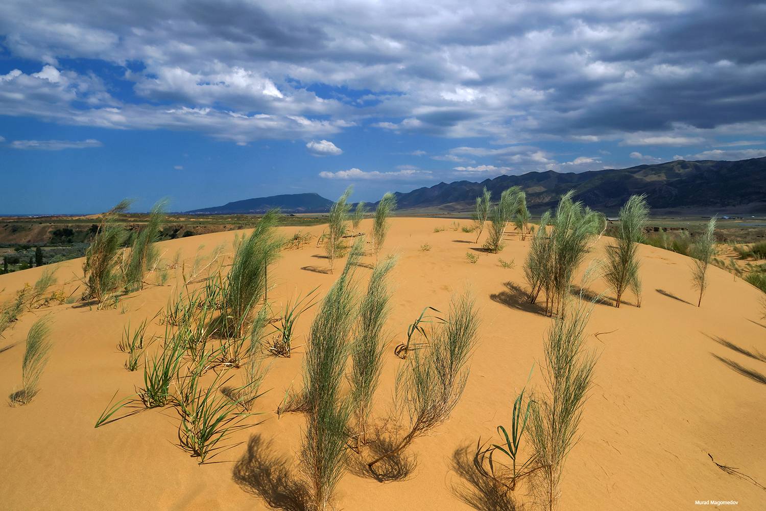 сары кум,песчаная гора,дагестан,пейзаж,лето,, Magov Marat