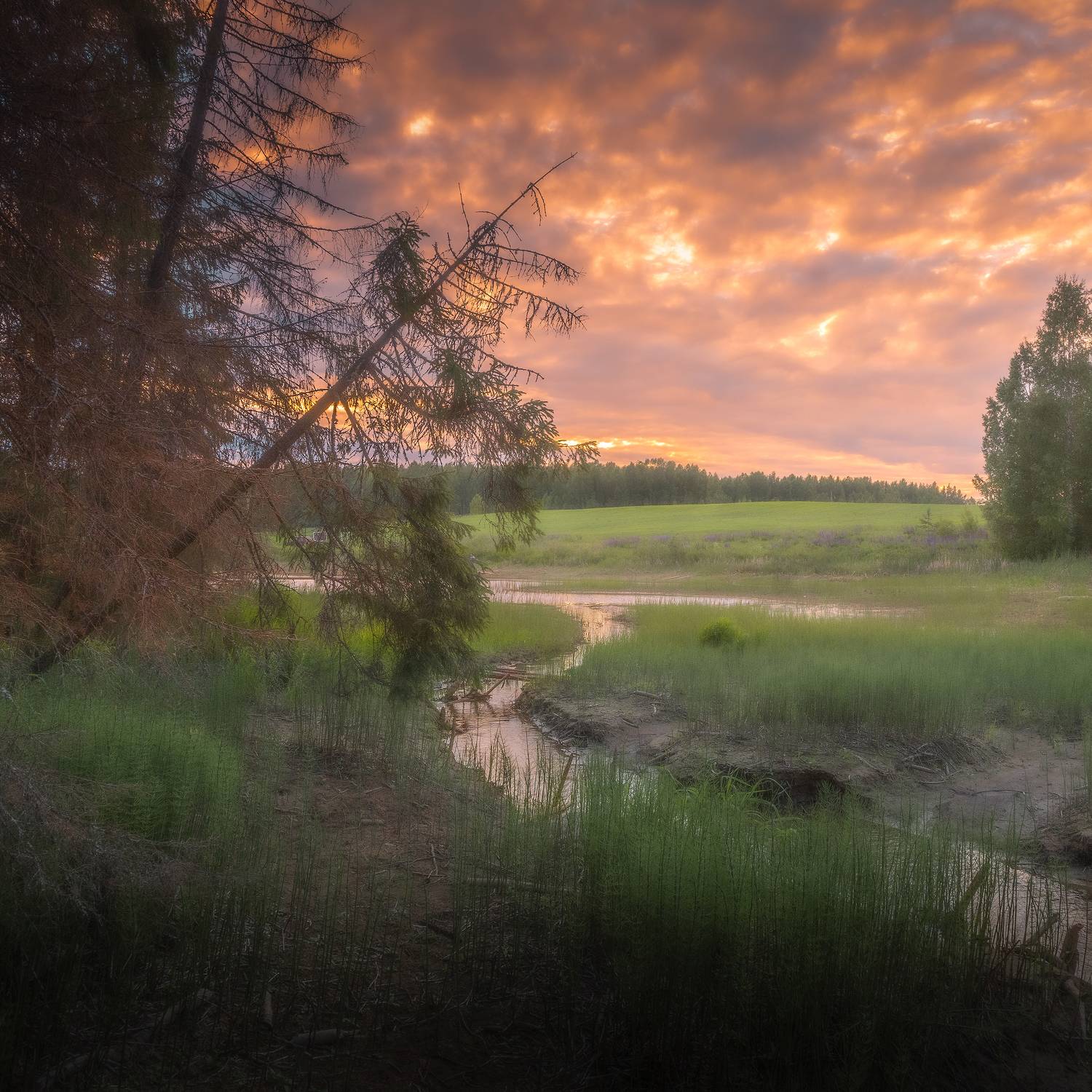 , Евгений Чикишев