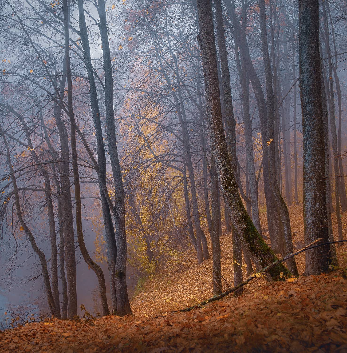 , Роман Игнатьев