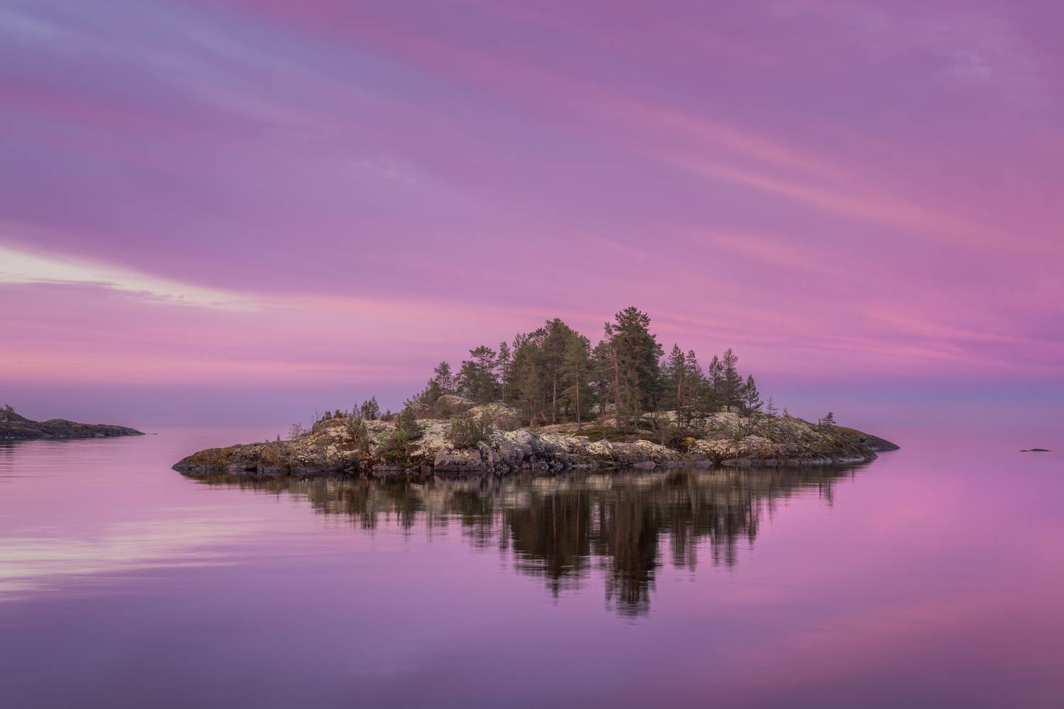 , Максим Евдокимов