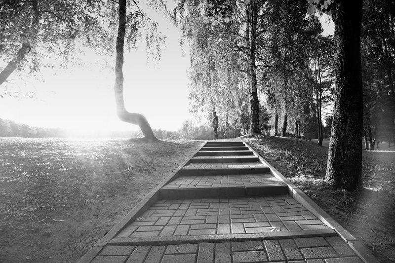 В ожидании заката фото превью