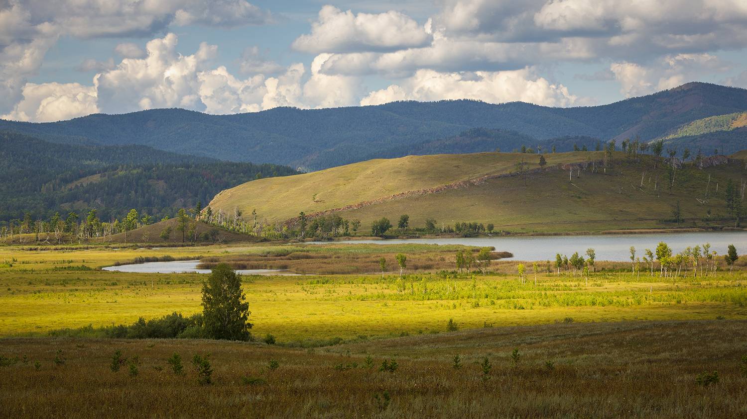 россия, сибирь, хакасия, пейзаж, природа,, Сергей Шульга