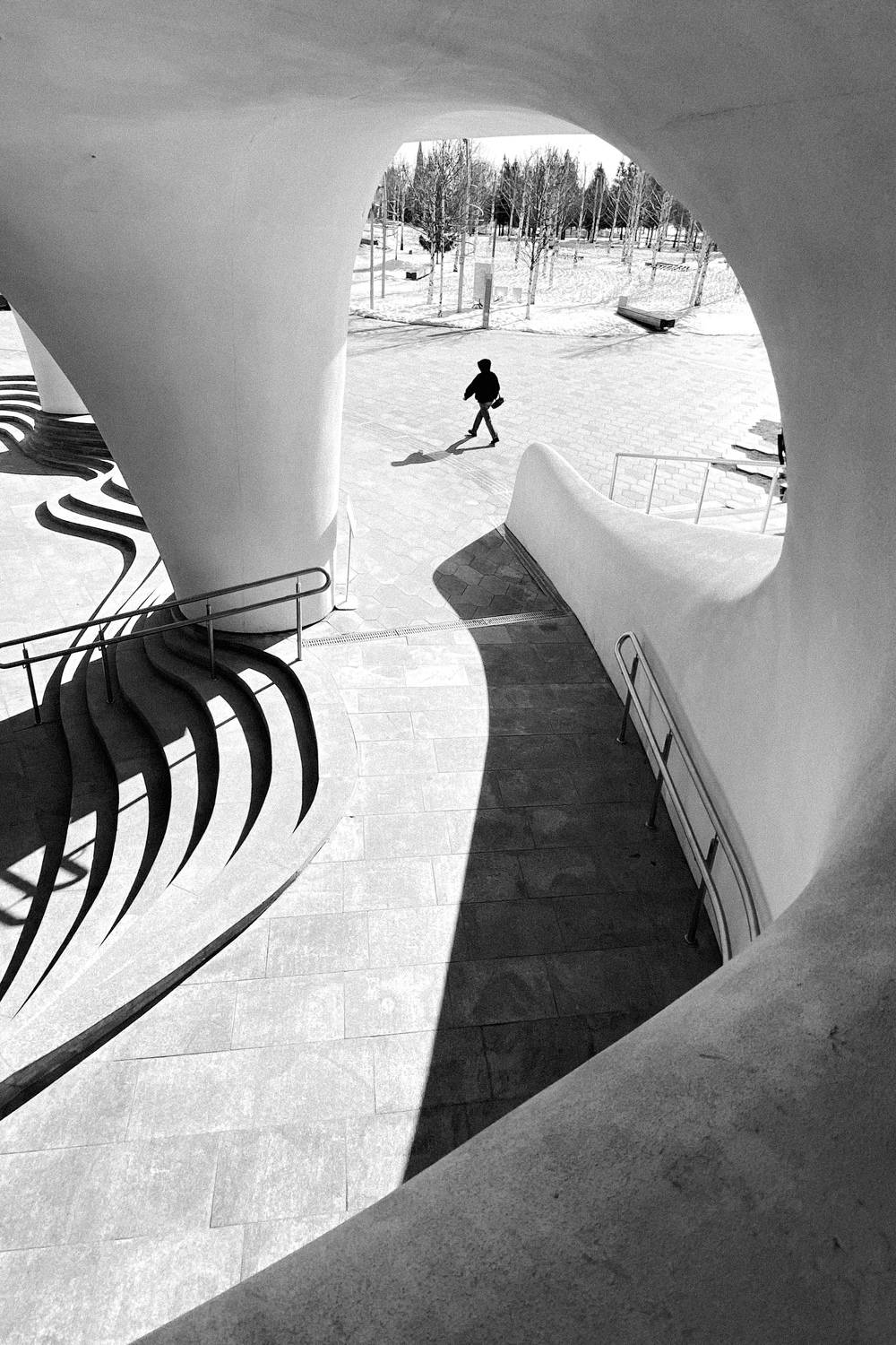 , Елена Шевченко