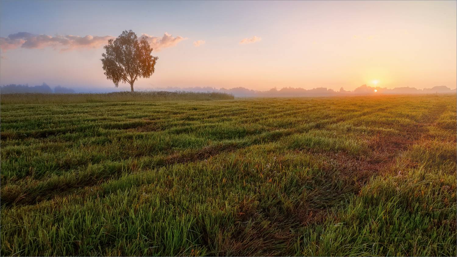 пейзаж, лето, утро, деревня, свет, цвет, александр никитинский, Никитинский Александр