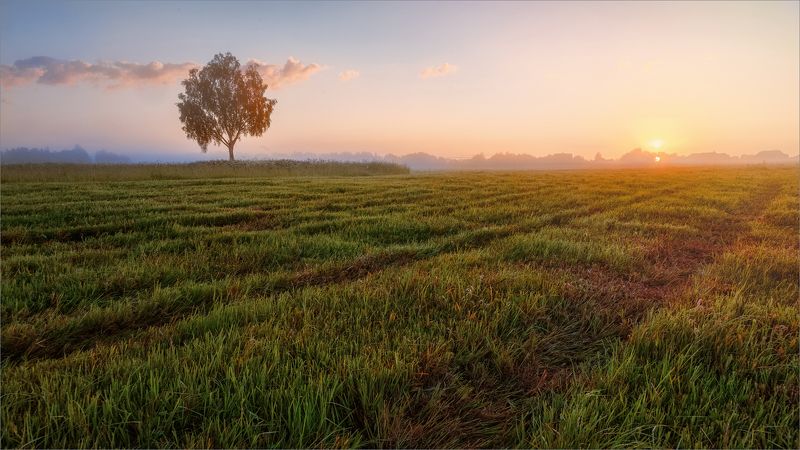 пейзаж, лето, утро, деревня, свет, цвет, александр никитинский Рассвет в деревне... фото превью