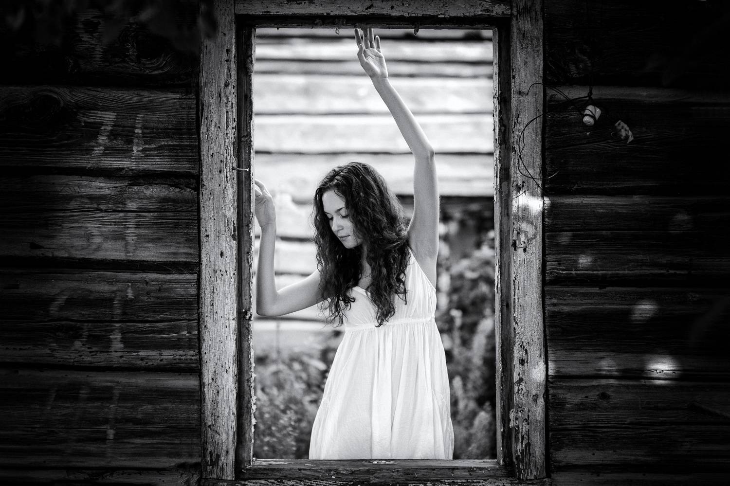 , Никитин Николай