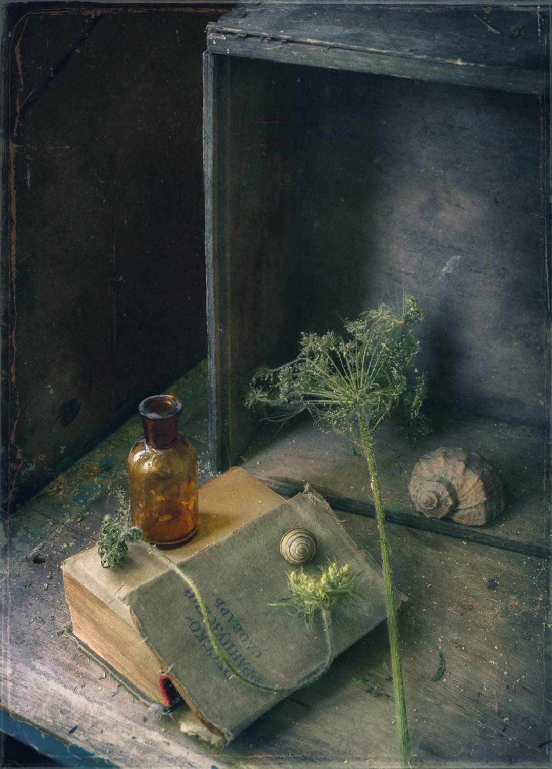 , Хромеев Александр