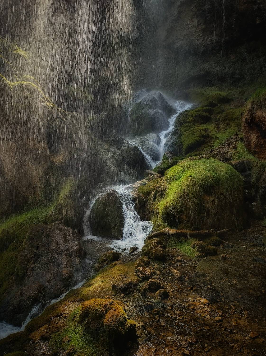 , Юлияна Стоянова