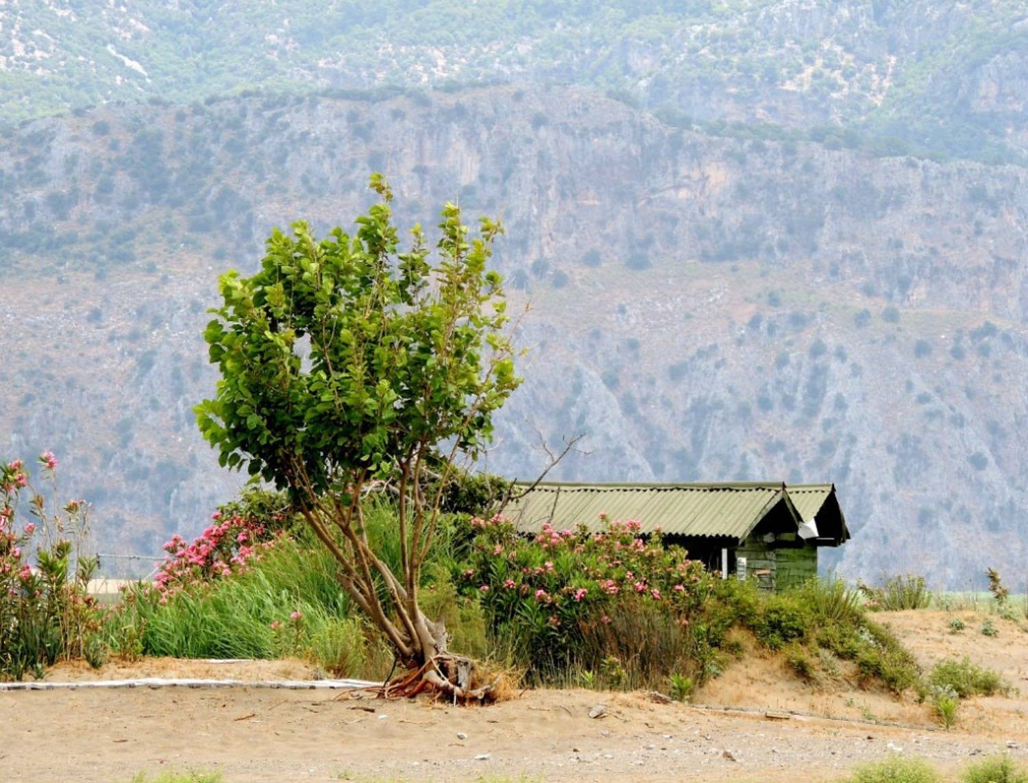 , Савоцкий Роман