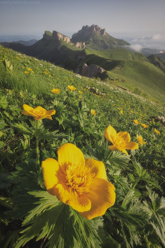 тхач, большой тхач, фототур, яковлевфототур, кавказ, адыгея Большой Тхач фото превью