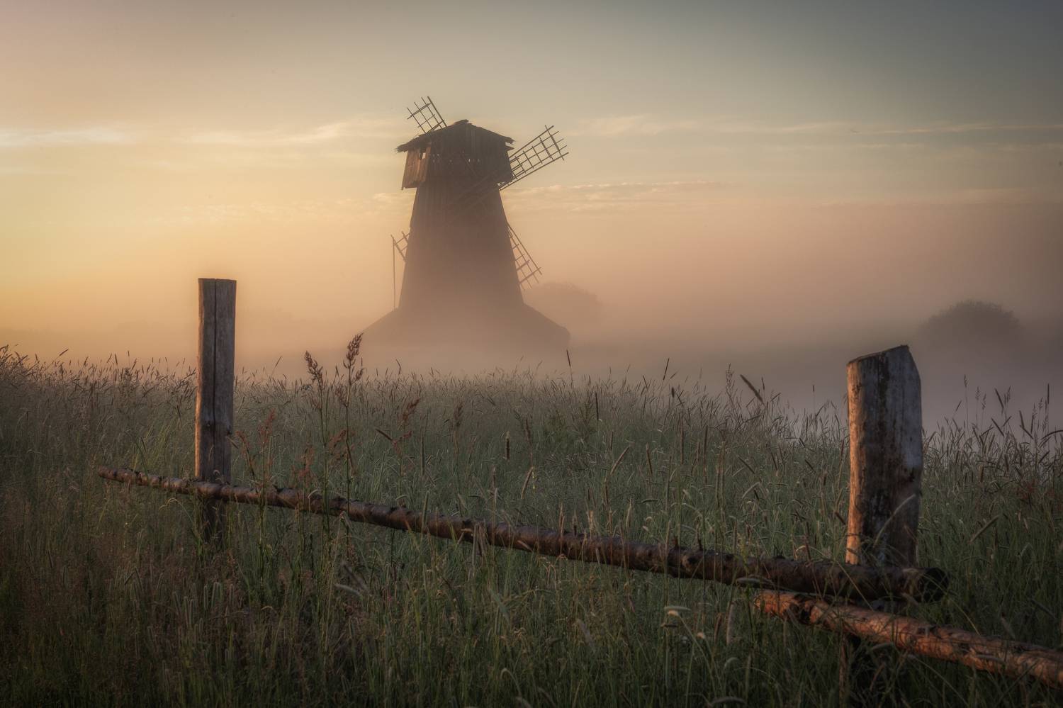 Псковская область, Гусева Елена