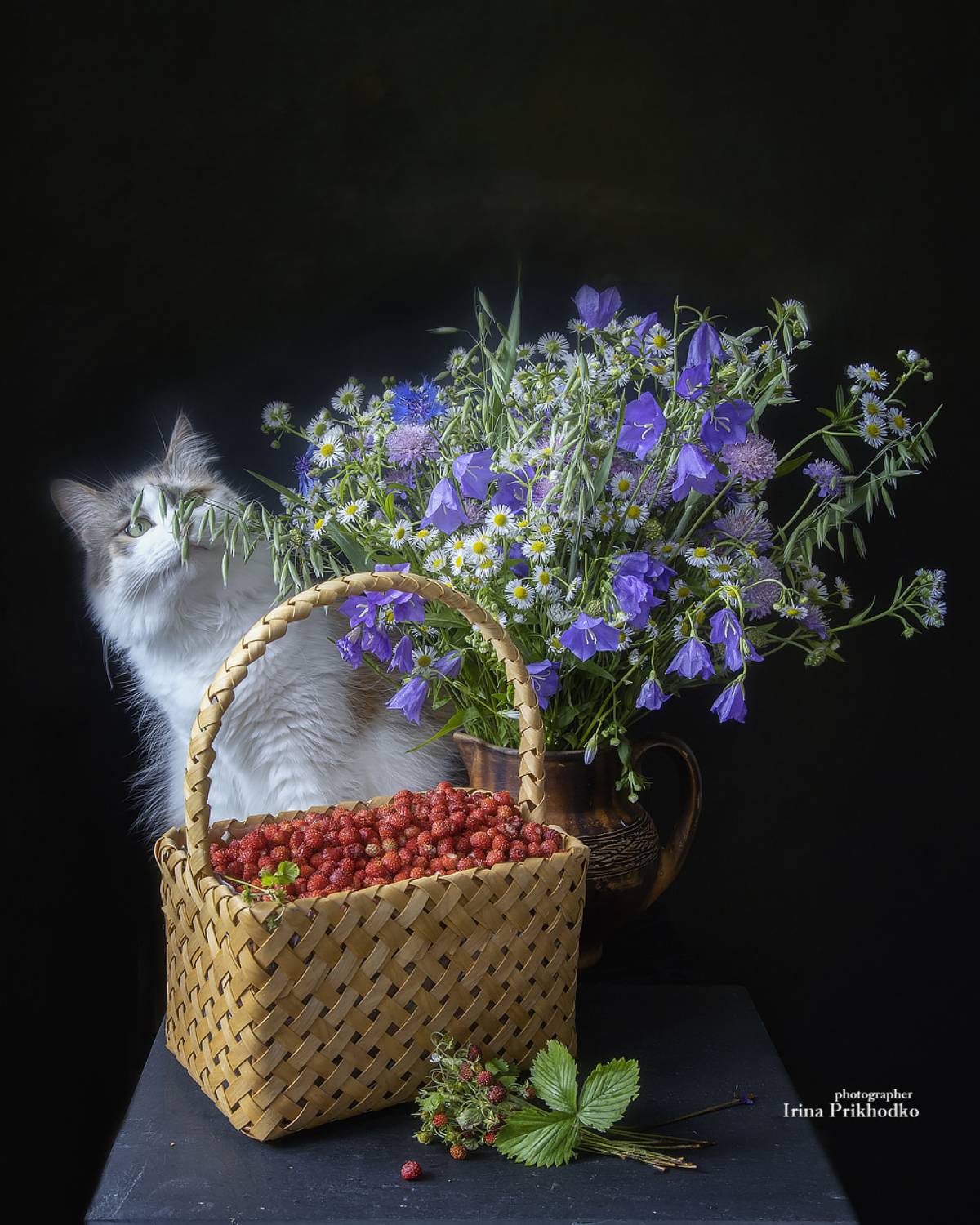 натюрморт, земляника, летний букет, любопытная кошка, Приходько Ирина