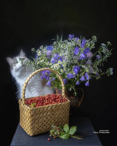 Каждому - своё