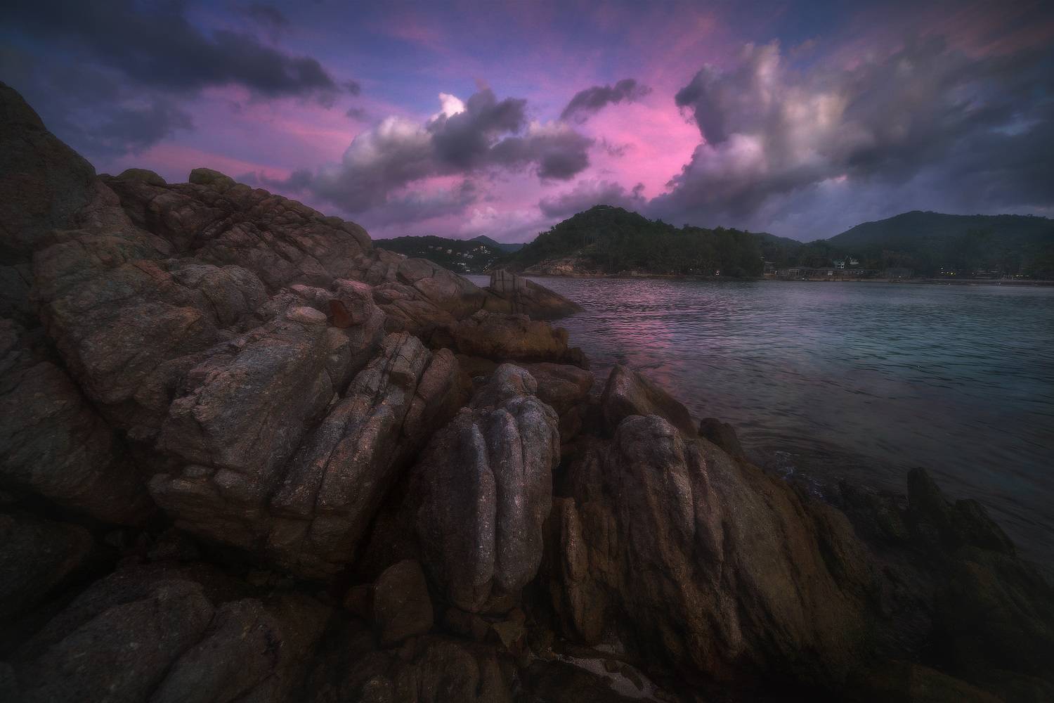 , Владимир Ляпин