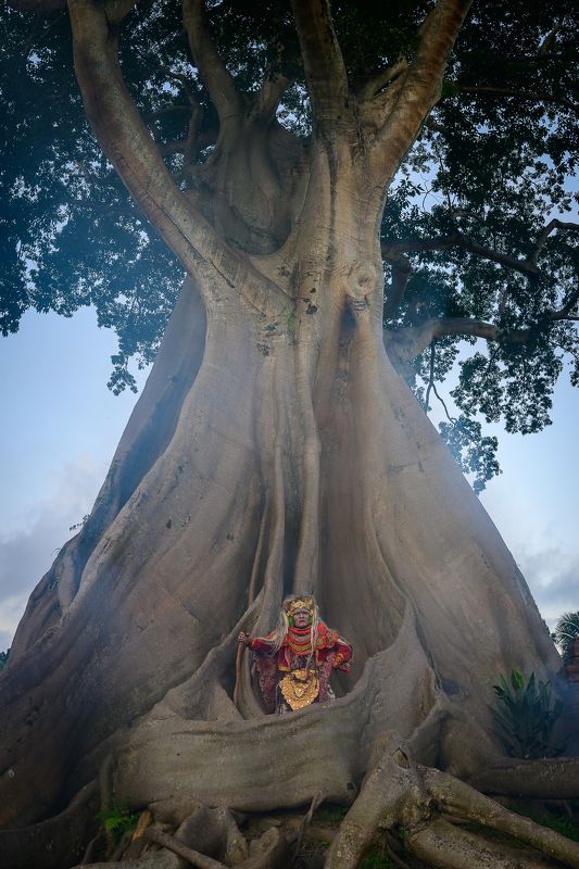 Tree spirit фото превью