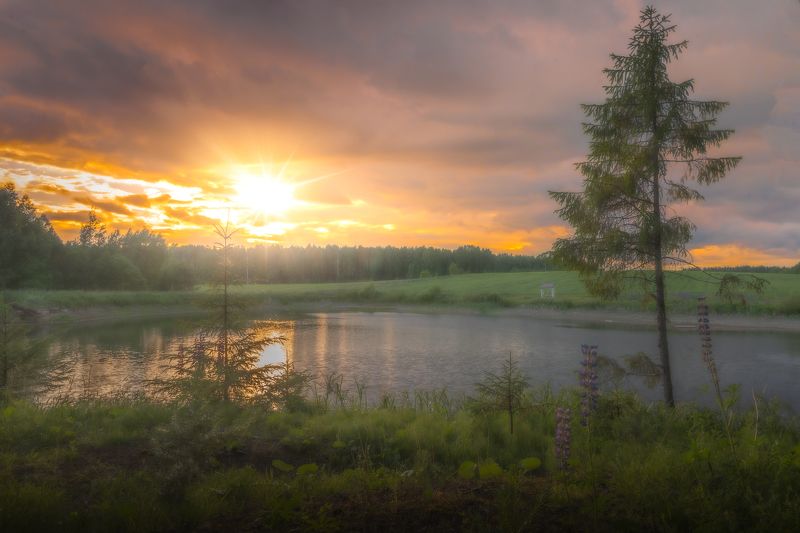 фото превью