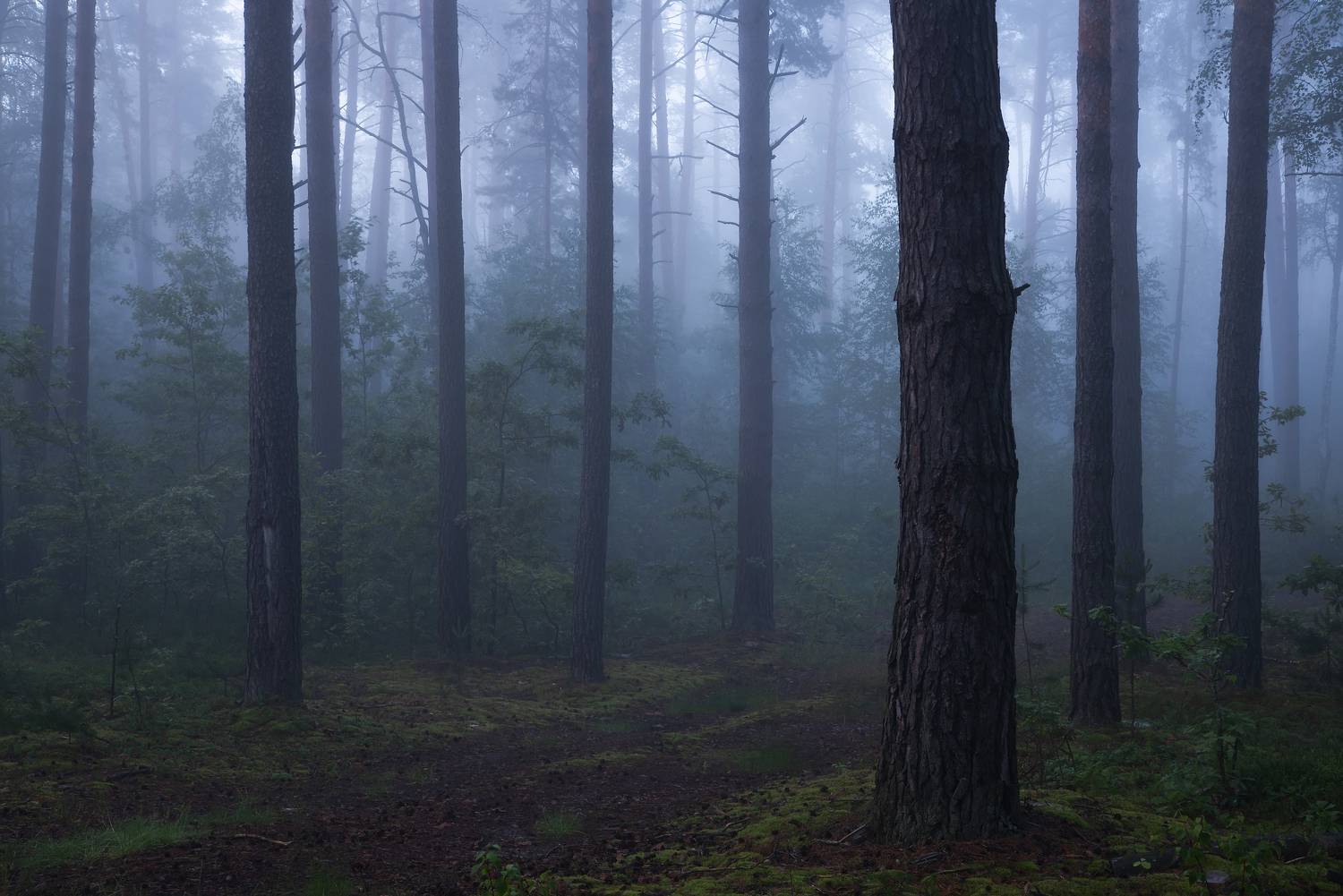, Захаров Дмитрий