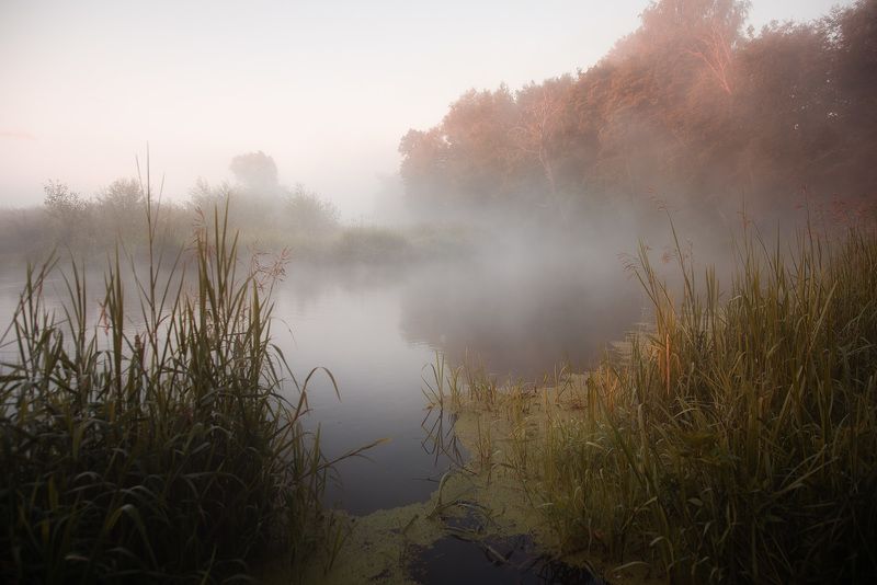 лето, владимирская область, рассвет, шерна *** фото превью